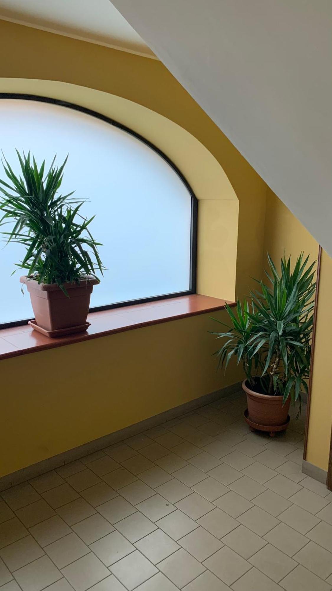 Bb Borgo Biella Tree Villa Candelo Bagian luar foto